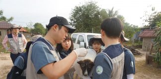 건국대 수의대, 라오스서 동물의료 봉사 실시