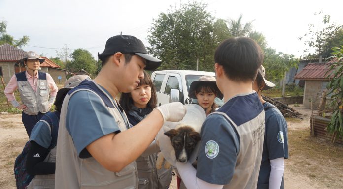 건국대 수의대, 라오스서 동물의료 봉사 실시