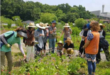 서울시, 도시농업 사업 단체에 최대 3천만원 지원