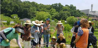 서울시, 도시농업 사업 단체에 최대 3천만원 지원