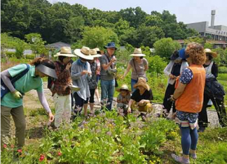 서울시, 도시농업 사업 단체에 최대 3천만원 지원