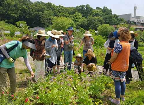 서울시, 도시농업 사업 단체에 최대 3천만원 지원