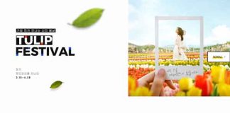 2019 에버랜드 ‘포시즌스 가든’ 튤립 축제