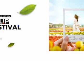 2019 에버랜드 ‘포시즌스 가든’ 튤립 축제