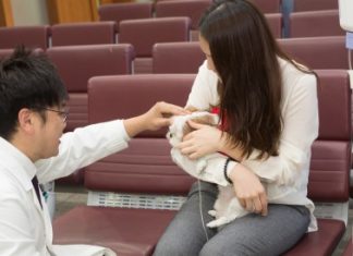 건국대 캠퍼스타운, 8월 토요일마다 반려동물 행동치료 강연