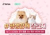 틱톡, 아지냥이와 휴가철 반려동물 유기 방지를 위한 ‘#평생함께’ 챌린지 진행