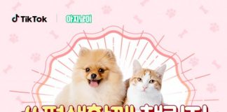 틱톡, 아지냥이와 휴가철 반려동물 유기 방지를 위한 ‘#평생함께’ 챌린지 진행