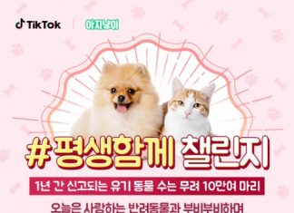 틱톡, 아지냥이와 휴가철 반려동물 유기 방지를 위한 ‘#평생함께’ 챌린지 진행