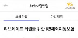 KB손해보험, 오픈 API기반 ‘단체 해외여행보험 가입시스템’ 오픈