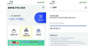 한국간편결제진흥원, 서울시 재난 긴급생활비 지급 시작