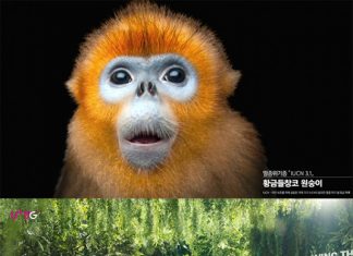 펜타클-LGU+, 미국 ‘스티비 어워즈’ 국내 최다 수상