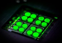 CYNORA, 업계 최초 차세대 OLED 디스플레이 용 TADF 딥그린 이미터 디바이스 테스트 키트 출시 발표