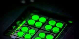 CYNORA, 업계 최초 차세대 OLED 디스플레이 용 TADF 딥그린 이미터 디바이스 테스트 키트 출시 발표