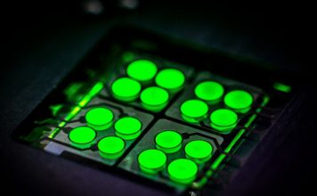 CYNORA, 업계 최초 차세대 OLED 디스플레이 용 TADF 딥그린 이미터 디바이스 테스트 키트 출시 발표