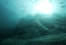 삼성전자, 갤럭시 기기에 해양 폐기물 재활용 소재 사용