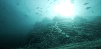 삼성전자, 갤럭시 기기에 해양 폐기물 재활용 소재 사용