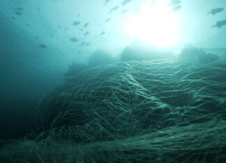 삼성전자, 갤럭시 기기에 해양 폐기물 재활용 소재 사용