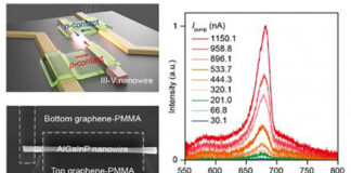 건국대 노유신 교수팀, 정밀 집적 가능한 그래핀 전극 신기술 개발