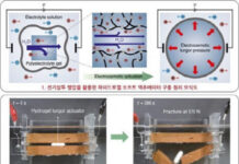 서울대 공대 선정윤 재료공학부-김호영 기계공학부 교수 연구팀, 짧은 시간 큰 힘 내는 소프트젤 액추에이터 개발