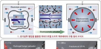 서울대 공대 선정윤 재료공학부-김호영 기계공학부 교수 연구팀, 짧은 시간 큰 힘 내는 소프트젤 액추에이터 개발