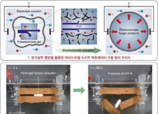 서울대 공대 선정윤 재료공학부-김호영 기계공학부 교수 연구팀, 짧은 시간 큰 힘 내는 소프트젤 액추에이터 개발