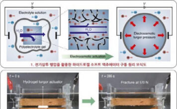 서울대 공대 선정윤 재료공학부-김호영 기계공학부 교수 연구팀, 짧은 시간 큰 힘 내는 소프트젤 액추에이터 개발