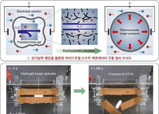 서울대 공대 선정윤 재료공학부-김호영 기계공학부 교수 연구팀, 짧은 시간 큰 힘 내는 소프트젤 액추에이터 개발