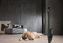 밀레, 펫팸족 사로잡은 펫전용 청소기로 반려동물 시장 공략