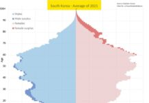 현장실습제도 개편의 필요성, 자율형 현장실습, 표준 현장실습. 교육부와 노동부가 나라를 불태운다.
