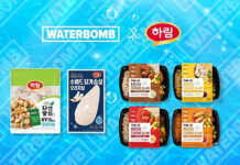 하림, ‘워터밤 서울 2022’ 참가