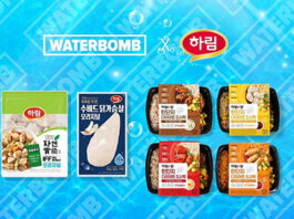 하림, ‘워터밤 서울 2022’ 참가