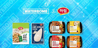 하림, ‘워터밤 서울 2022’ 참가