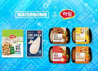 하림, ‘워터밤 서울 2022’ 참가