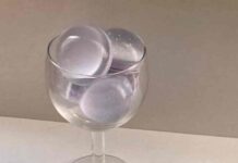 내 취향은 이런거야! 취향저격 오브제 소개합니다 sot.obj , flant , blueness.house , bontea