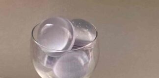 내 취향은 이런거야! 취향저격 오브제 소개합니다 sot.obj , flant , blueness.house , bontea