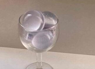 내 취향은 이런거야! 취향저격 오브제 소개합니다 sot.obj , flant , blueness.house , bontea