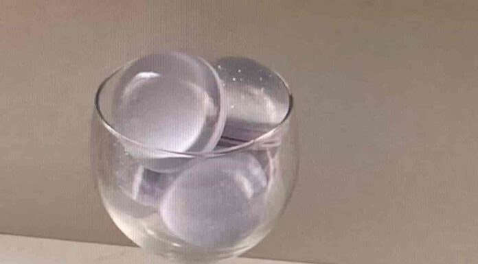 내 취향은 이런거야! 취향저격 오브제 소개합니다 sot.obj , flant , blueness.house , bontea