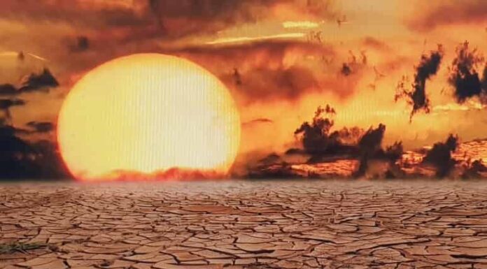 이상기후, 기후변화를 넘어서는 기후위기? 기후위기 원인, 사례, 나아가야 할 방향