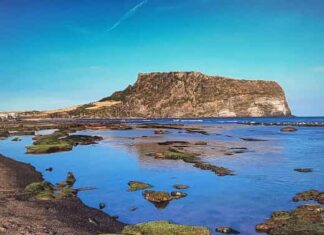 제주 혼저옵서예