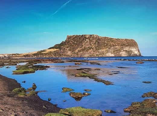 제주 혼저옵서예