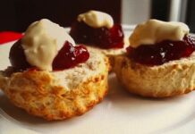 담백한 매력으로 우리나라를 섭렵한 ‘스콘’