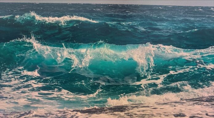 내돈내산 뷰티꿀팁 더운여름 지워지지 않는 아이라이너 찐후기