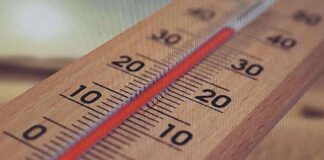 지구온난화와 해결 방안