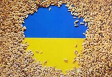 우크라이나 전쟁과 식량위기