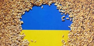 우크라이나 전쟁과 식량위기