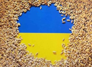 우크라이나 전쟁과 식량위기