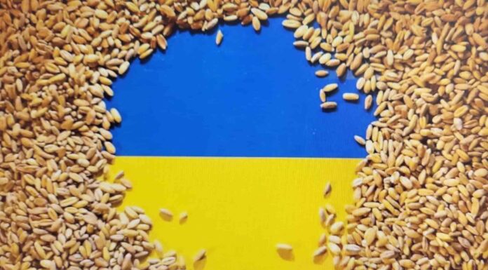 우크라이나 전쟁과 식량위기
