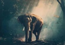 환경을 위한 착한소비 실천 송파구,강동구 제로웨이스트샵 ‘아름다운가게’