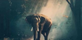 환경을 위한 착한소비 실천 송파구,강동구 제로웨이스트샵 ‘아름다운가게’