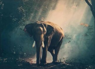 환경을 위한 착한소비 실천 송파구,강동구 제로웨이스트샵 ‘아름다운가게’